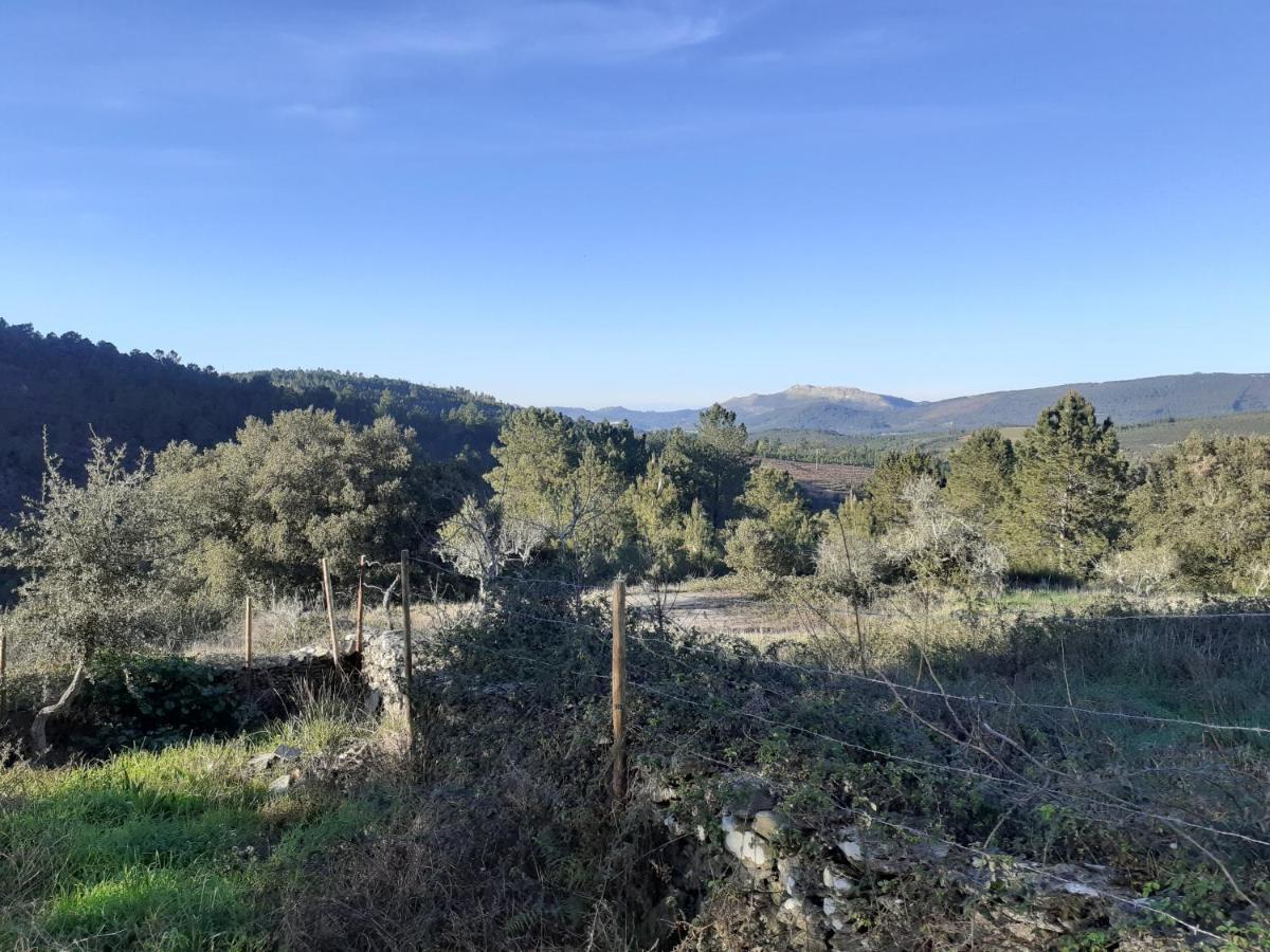 Quinta Das Lameirinhas Marvão Exteriér fotografie