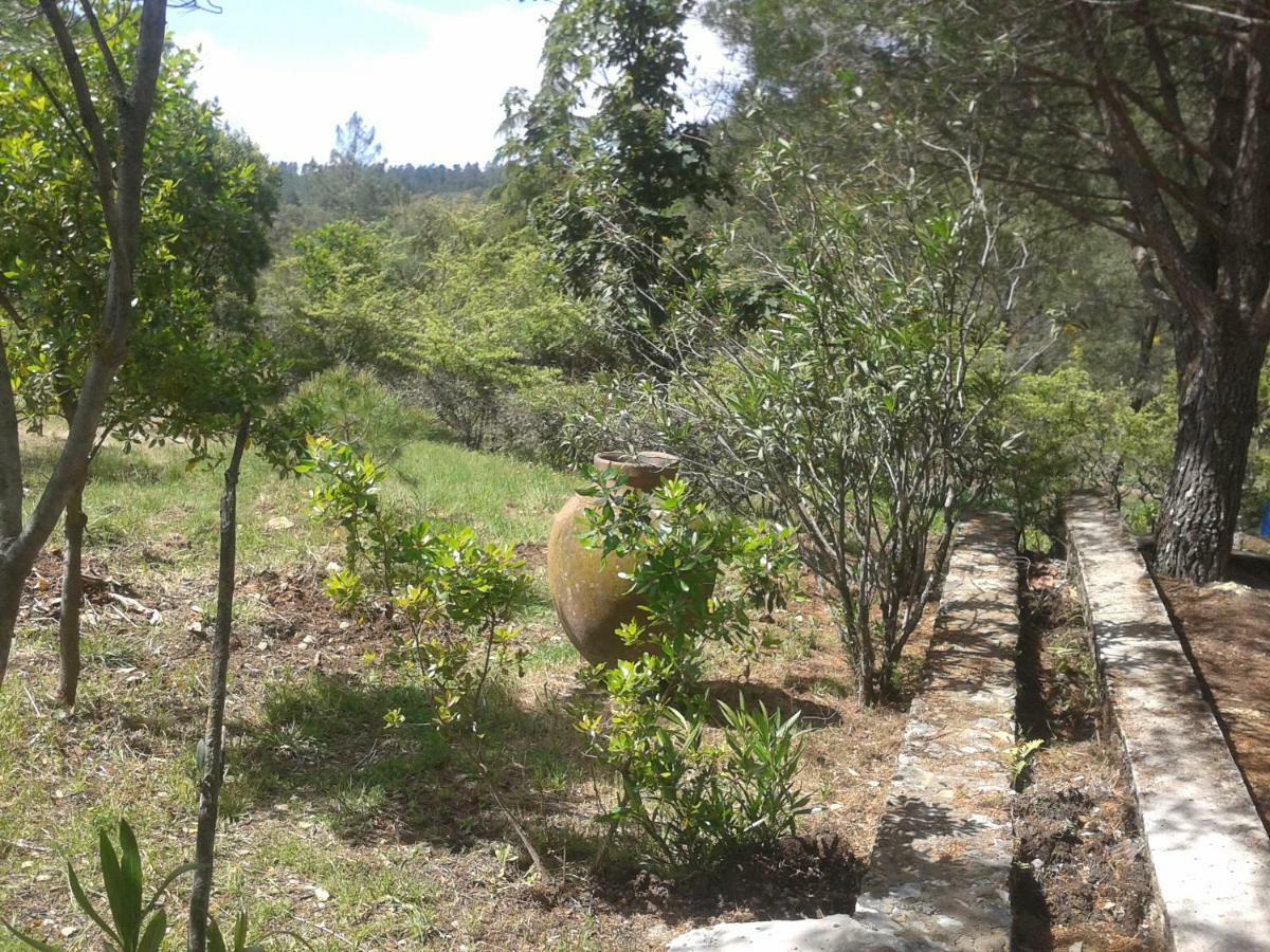 Quinta Das Lameirinhas Marvão Exteriér fotografie